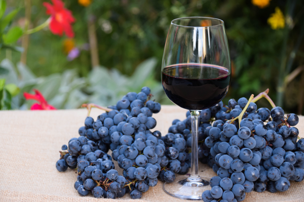 7 Must-Know Health Benefits Of Wine