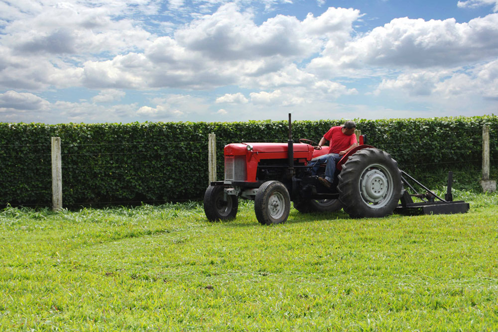 A quick guide to buy the right farm tractor for your needs