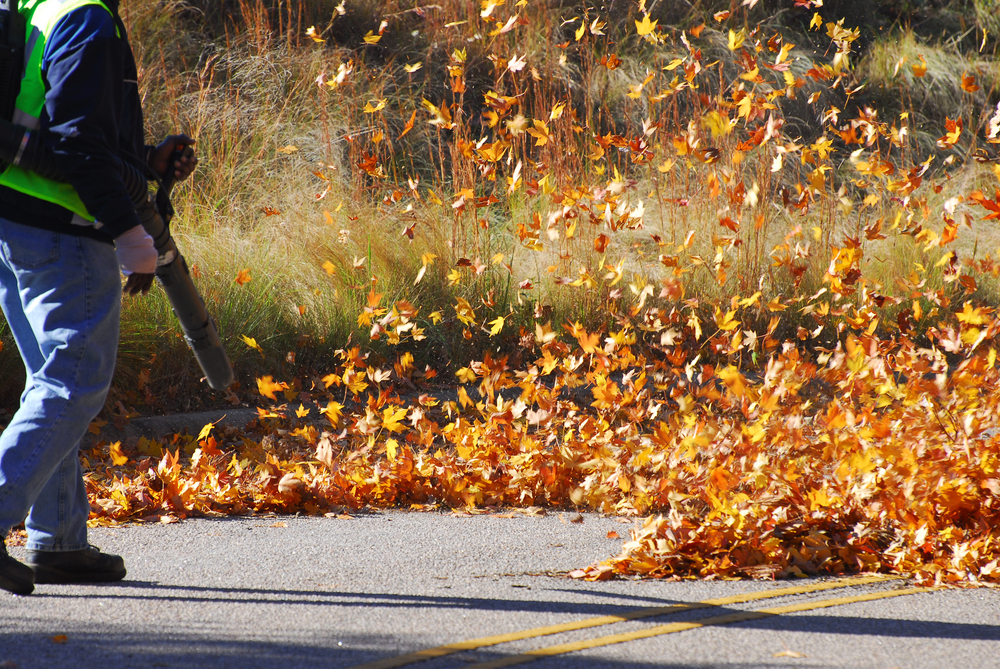 Different Types of Gas Leaf Blowers