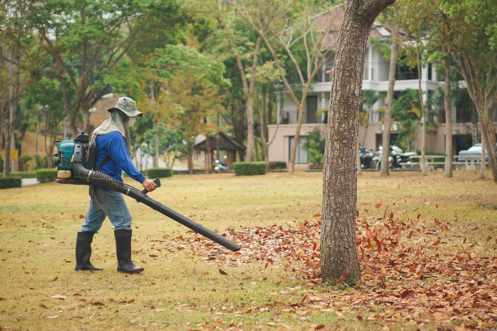 Guide for buying the best leaf blower