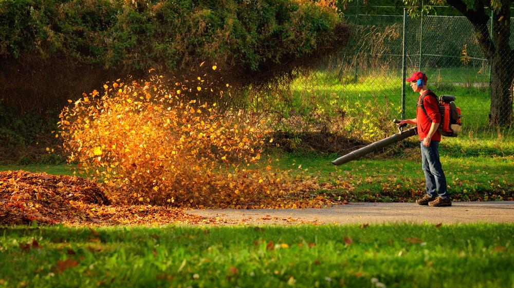 Guide to Choosing the Right Gas Leaf Blower