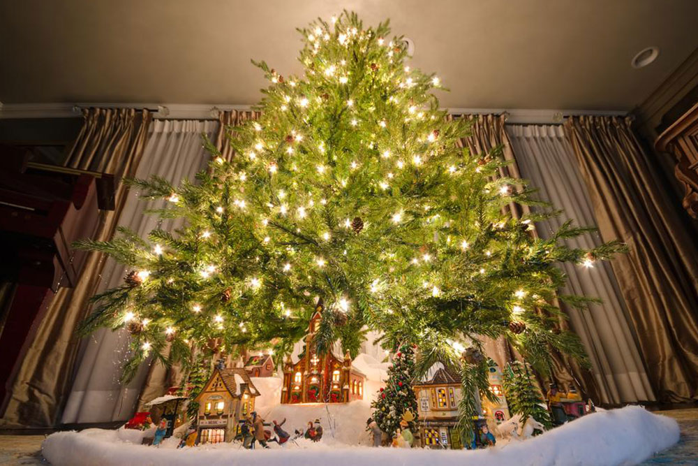 How to choose the right sized Christmas tree for your home