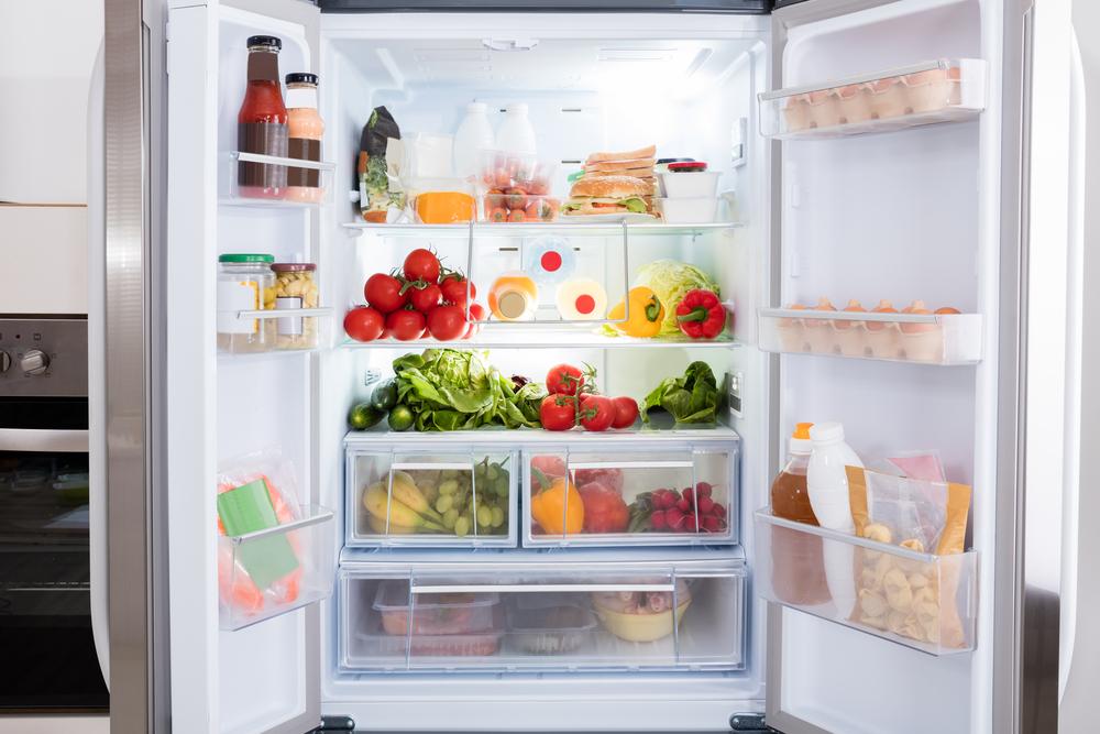 The best mini refrigerators