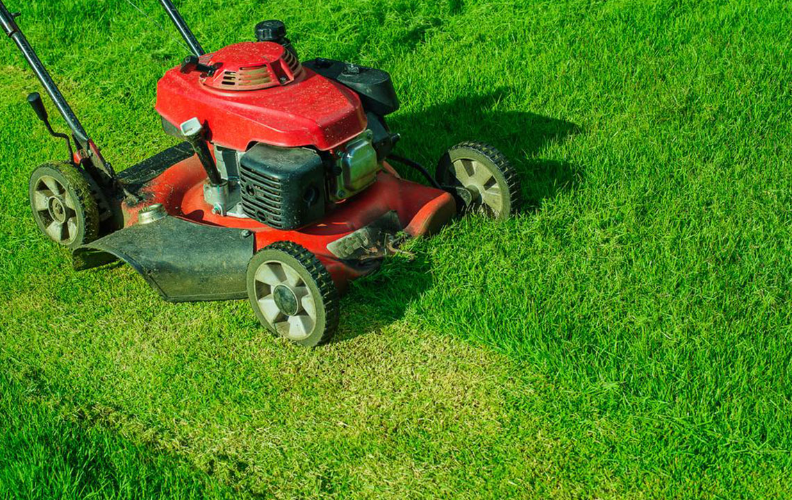 Tips for choosing the best lawn mower