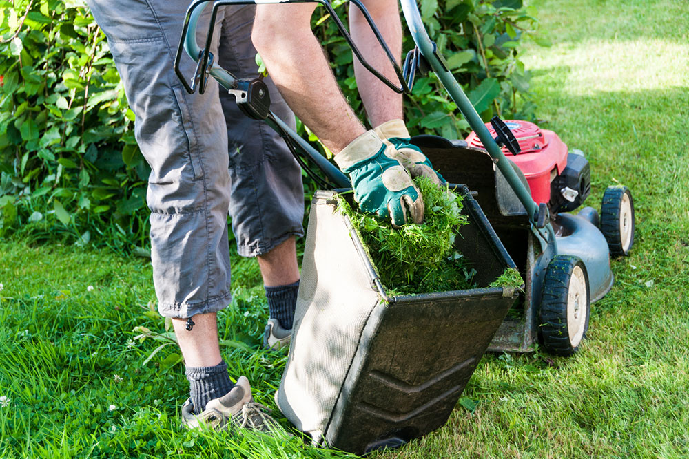 4 best lawn care software for your business