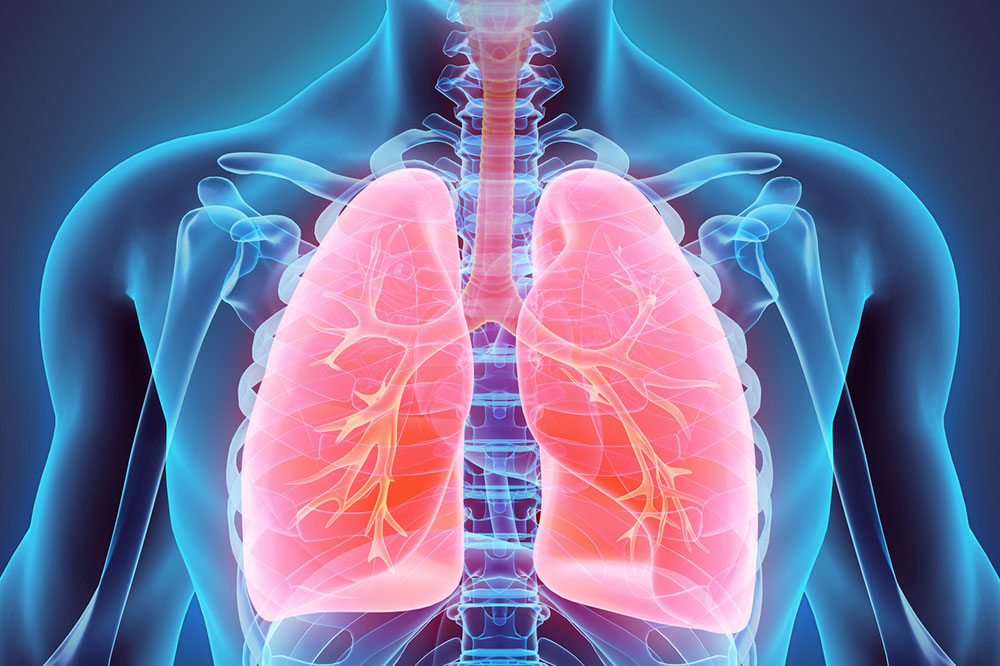 Everything you should know about lung cancer